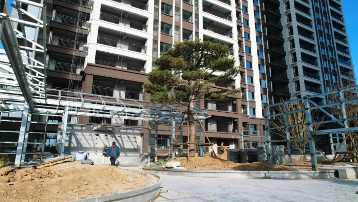 1763948449535685.jpg ScreenShot_2025-11-24_094030_566.jpg