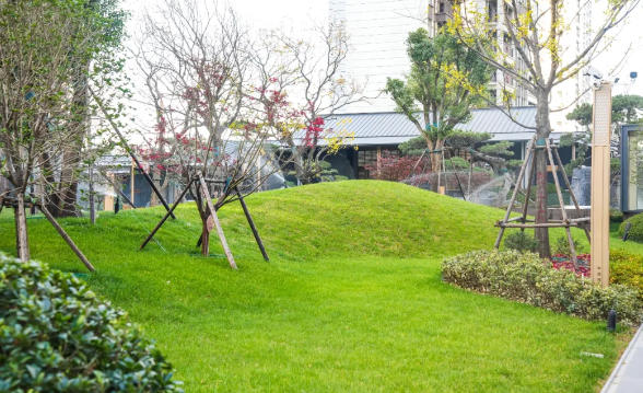 1764922188232849.jpg ScreenShot_2025-12-05_160856_626.jpg