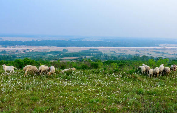 1765181591986106.jpg ScreenShot_2025-12-08_161226_873.jpg